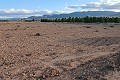 Building plot in Yecla. in Spanish Fincas