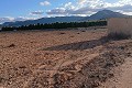 Building plot in Yecla. in Spanish Fincas