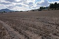 Gigantic building plot in Yecla. in Spanish Fincas