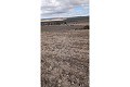 Gigantic building plot in Yecla. in Spanish Fincas