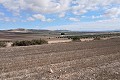 Gigantic building plot in Yecla. in Spanish Fincas