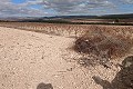 Gigantic building plot in Yecla. in Spanish Fincas