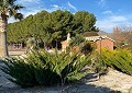 Beautiful 2 Bed Reformed Finca with equally Beautiful 2 Bed Guest House in Salinas. in Spanish Fincas