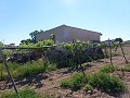 Aspe, plot for sale! - Building Plots for sale in Aspe, Alicante | Alicante, Aspe in Spanish Fincas