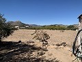 Propriété de campagne avec une vue imprenable in Spanish Fincas