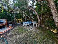 Lovely country home in Sax in Spanish Fincas