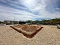 Beautiful plot in perfect condition in Yecla in Spanish Fincas