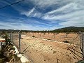 Beautiful plot in perfect condition in Yecla in Spanish Fincas