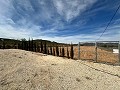 Beautiful plot in perfect condition in Yecla in Spanish Fincas