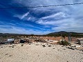 Beautiful plot in perfect condition in Yecla in Spanish Fincas