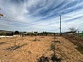 Beautiful plot in perfect condition in Yecla in Spanish Fincas