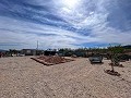 Beautiful plot in perfect condition in Yecla in Spanish Fincas