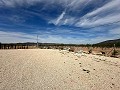 Beautiful plot in perfect condition in Yecla in Spanish Fincas
