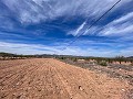 Beautiful plot in perfect condition in Yecla in Spanish Fincas