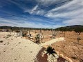 Beautiful plot in perfect condition in Yecla in Spanish Fincas