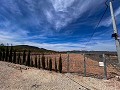 Beautiful plot in perfect condition in Yecla in Spanish Fincas