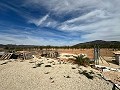 Beautiful plot in perfect condition in Yecla in Spanish Fincas
