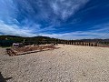 Beautiful plot in perfect condition in Yecla in Spanish Fincas