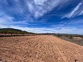 Beautiful plot in perfect condition in Yecla in Spanish Fincas