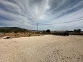 Beautiful plot in perfect condition in Yecla in Spanish Fincas