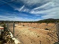Beautiful plot in perfect condition in Yecla in Spanish Fincas