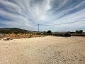 Beautiful plot in perfect condition in Yecla in Spanish Fincas