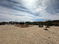 Beautiful plot in perfect condition in Yecla in Spanish Fincas