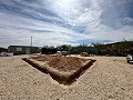 Beautiful plot in perfect condition in Yecla in Spanish Fincas