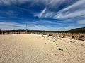Beautiful plot in perfect condition in Yecla in Spanish Fincas