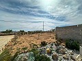 Beautiful plot in perfect condition in Yecla in Spanish Fincas