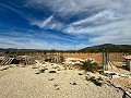 Beautiful plot in perfect condition in Yecla in Spanish Fincas