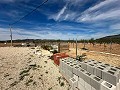 Beautiful plot in perfect condition in Yecla in Spanish Fincas