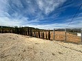 Beautiful plot in perfect condition in Yecla in Spanish Fincas