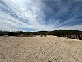 Beautiful plot in perfect condition in Yecla in Spanish Fincas