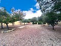 Villa with stunning views and pool in Spanish Fincas