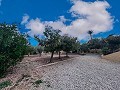 Villa with stunning views and pool in Spanish Fincas