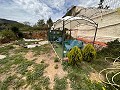 Spirituele retraite in Sax met eindeloze mogelijkheden in Spanish Fincas