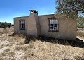 Finca met 3 slaapkamers en 2 badkamers in Sax met meer dan 16.000 m2 grond in Spanish Fincas