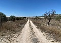 Finca met 3 slaapkamers en 2 badkamers in Sax met meer dan 16.000 m2 grond in Spanish Fincas