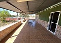 Finca met 3 slaapkamers en 2 badkamers in Sax met meer dan 16.000 m2 grond in Spanish Fincas