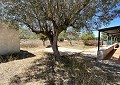 Finca met 3 slaapkamers en 2 badkamers in Sax met meer dan 16.000 m2 grond in Spanish Fincas