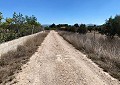Finca met 3 slaapkamers en 2 badkamers in Sax met meer dan 16.000 m2 grond in Spanish Fincas