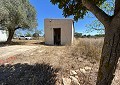 Finca met 3 slaapkamers en 2 badkamers in Sax met meer dan 16.000 m2 grond in Spanish Fincas