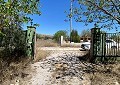 Finca met 3 slaapkamers en 2 badkamers in Sax met meer dan 16.000 m2 grond in Spanish Fincas