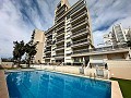 Magnífico ático con enorme terraza en Guardamar Del Segura   in Spanish Fincas