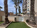 Magnífico ático con enorme terraza en Guardamar Del Segura   in Spanish Fincas