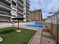 Magnífico ático con enorme terraza en Guardamar Del Segura   in Spanish Fincas