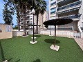Magnífico ático con enorme terraza en Guardamar Del Segura   in Spanish Fincas