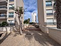 Magnífico ático con enorme terraza en Guardamar Del Segura   in Spanish Fincas