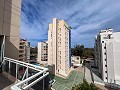 Magnífico ático con enorme terraza en Guardamar Del Segura   in Spanish Fincas